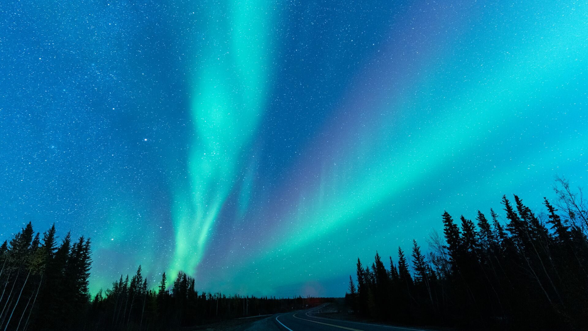 Teal and pink ribbons of northern lights over a treeline and a quiet road near Yellowknife