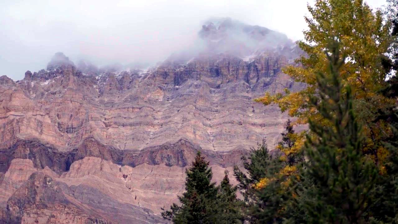 Rock cliffs and pines in the mountains