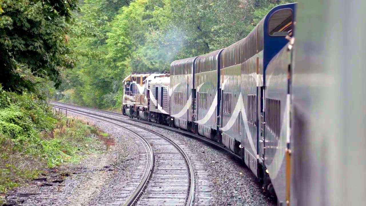The Rocky Mountaineer curving through the trees with its dome coaches visible