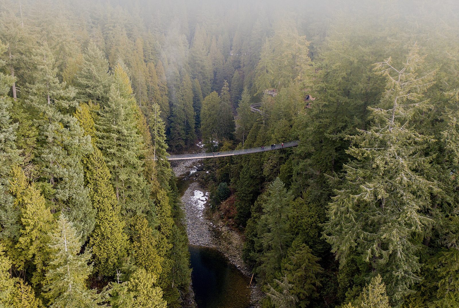 The Capilano Suspension Bridge crossing a misty forest canyon, seen from above