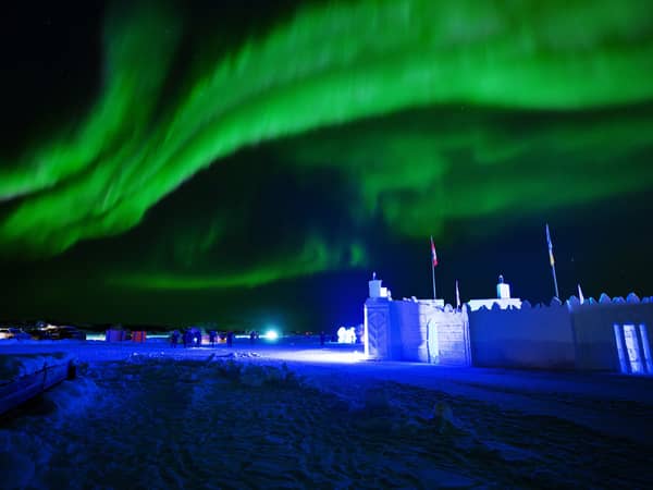 Spruce trees and a lodge window under a green aurora