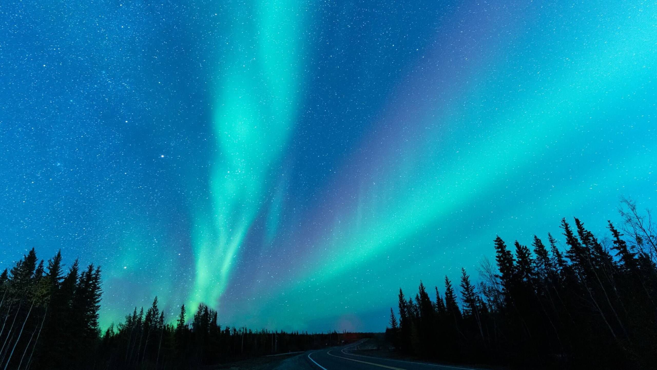 Teal and pink ribbons of northern lights over a treeline and a quiet road near Yellowknife
