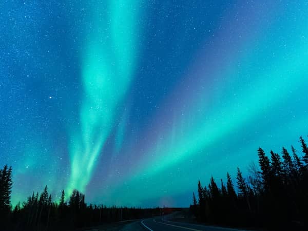 Teal and pink ribbons of northern lights over a treeline and a quiet road near Yellowknife