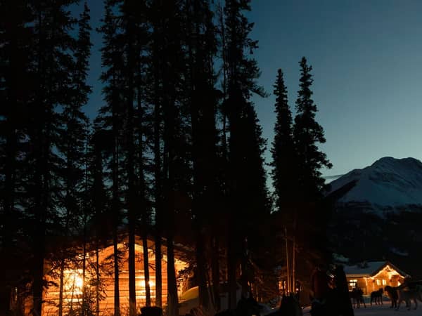 A lit cabin among tall spruce trees at dusk with a snowy peak beyond