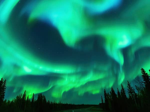 A swirl of green northern lights above a dark spruce treeline